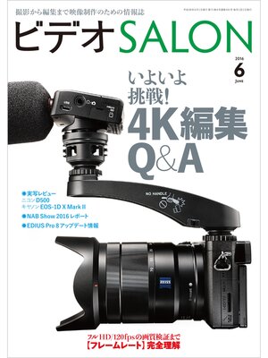 cover image of ビデオ SALON (サロン) 2016年 6月号